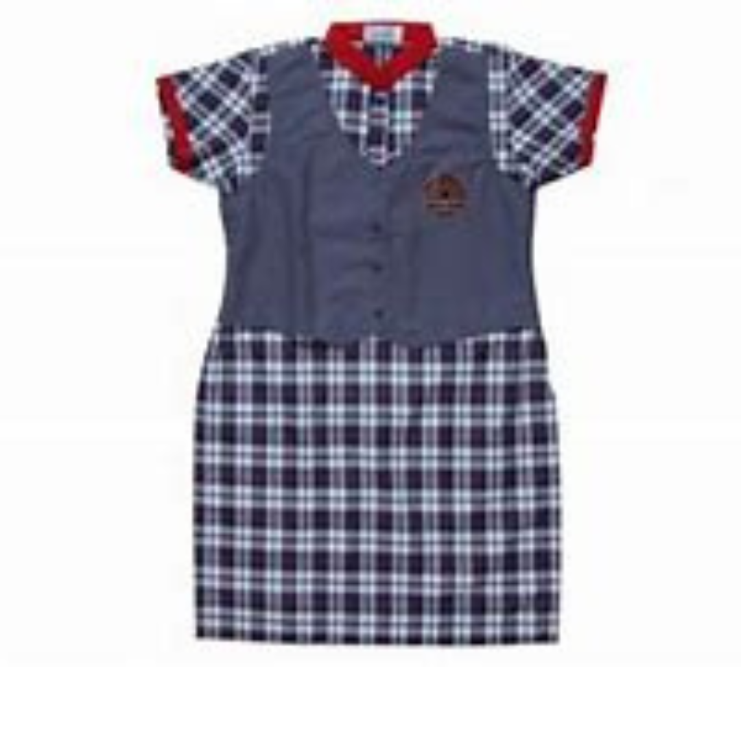 Kendriya Vidyalaya Girls Shirt – Hirawats Online